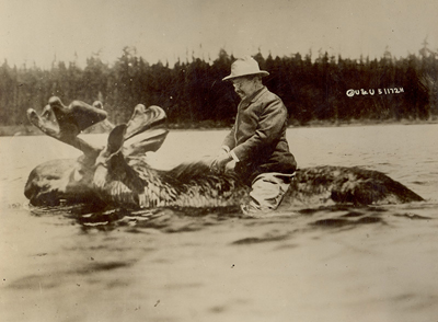 TR and Moose