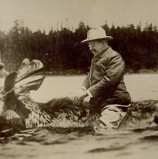 Myths Debunked: Sadly, Theodore Roosevelt never rode a moose